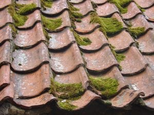 damaged roof